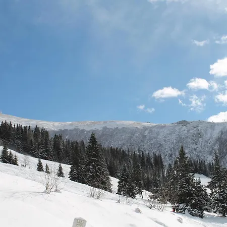Koralpe Edelweiss * Frantschach